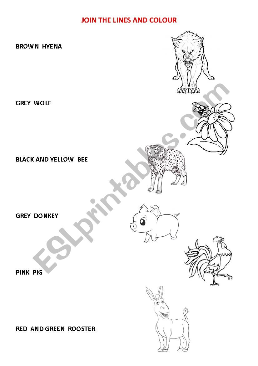 Animals worksheet