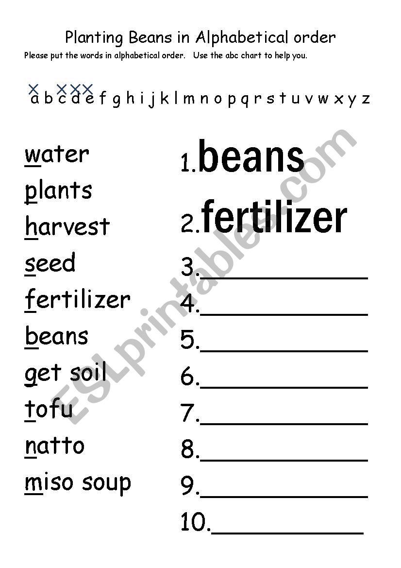 Bean Life Cycle Alphabetizing 