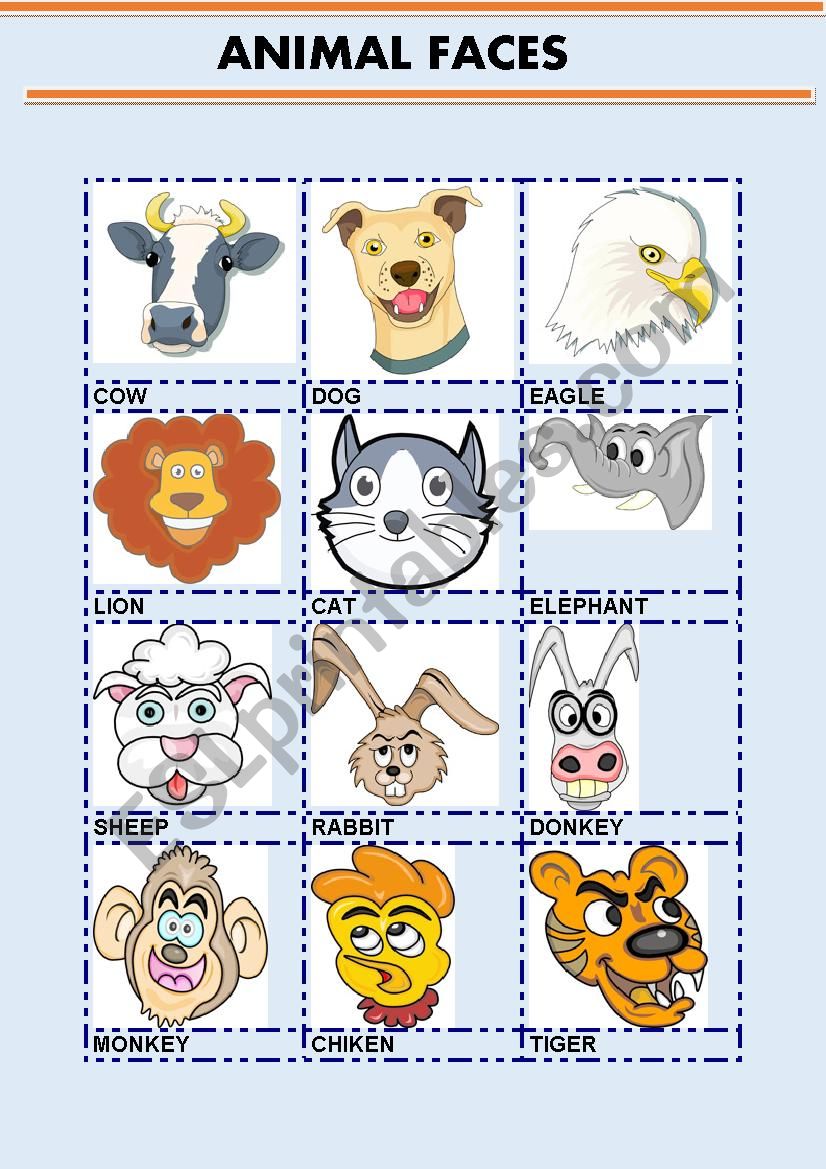 ANIMAL FACES worksheet