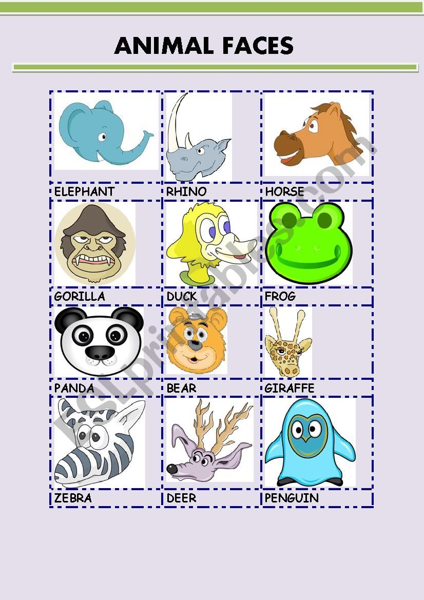 ANIMAL FACES 2 worksheet