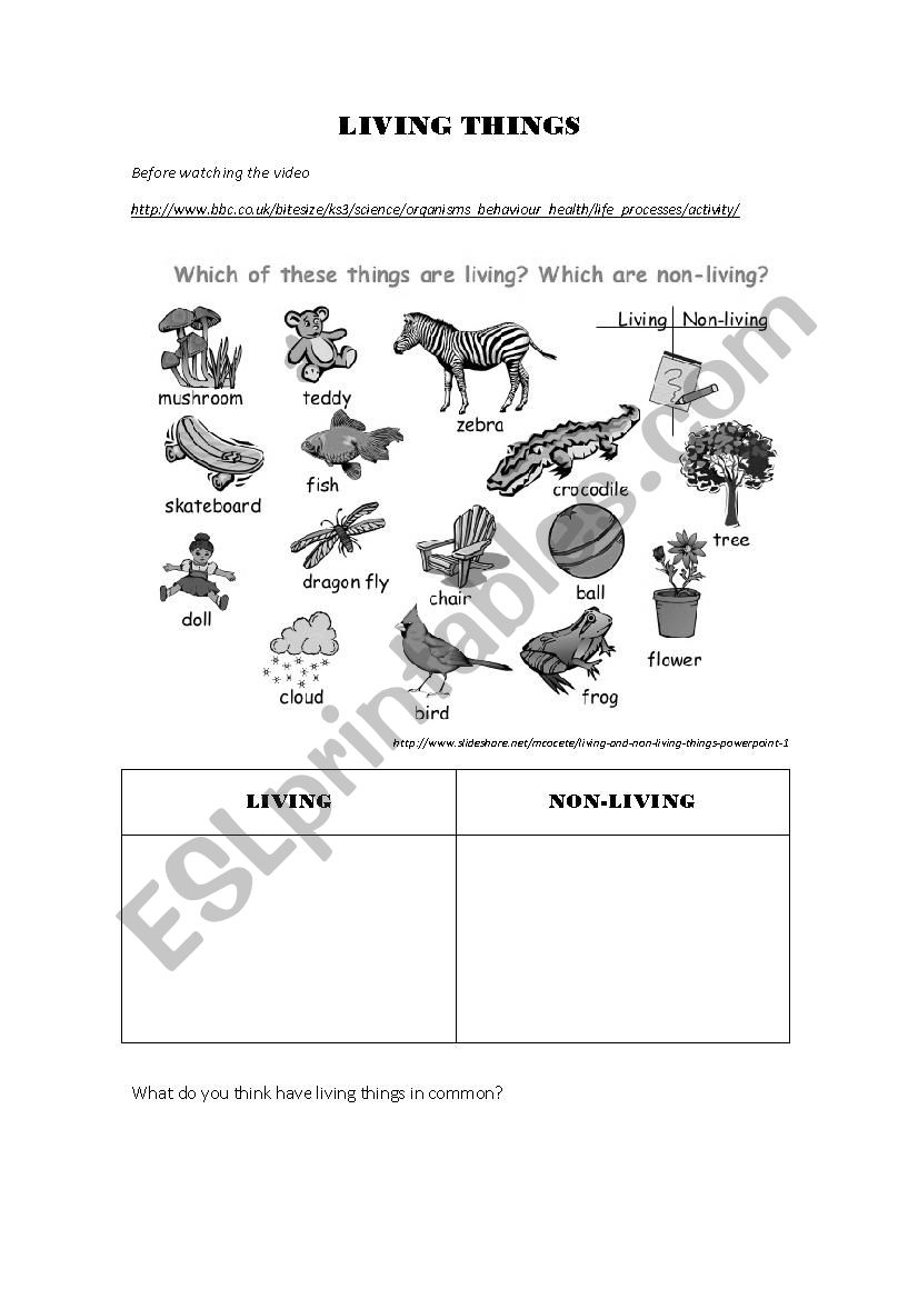 Living vs nonliving things worksheet