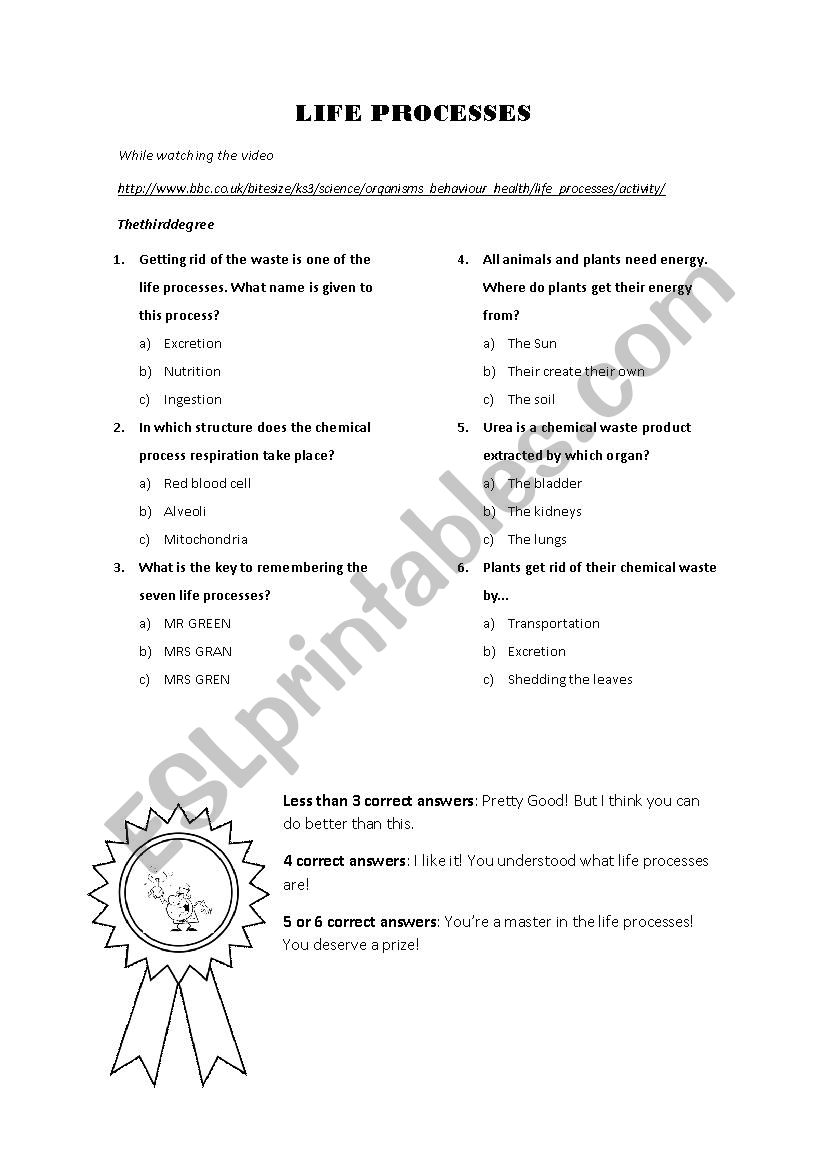 life-processes-multiple-choice-esl-worksheet-by-misspotter