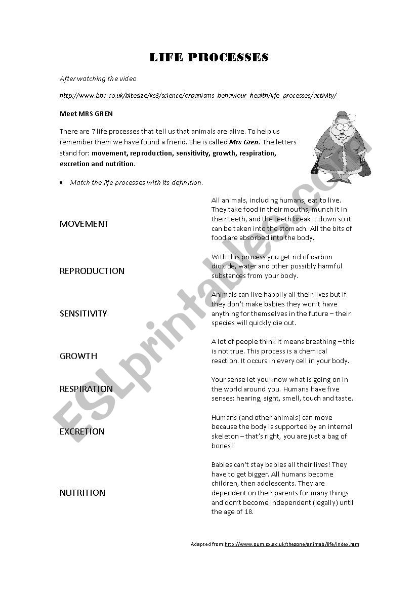 Life processes matching worksheet