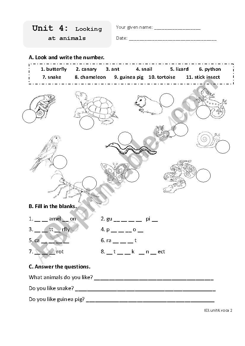 Animals worksheet