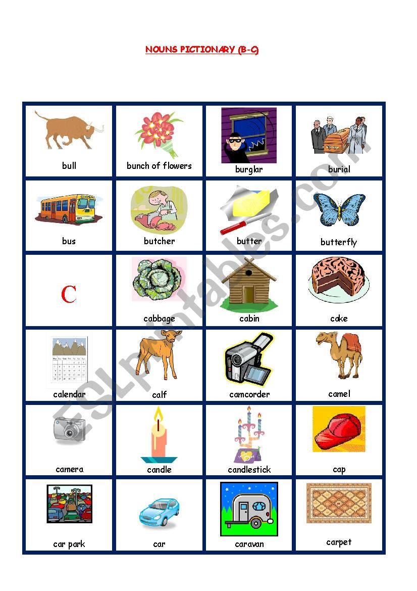 NOUNS PICTIONARY2 worksheet