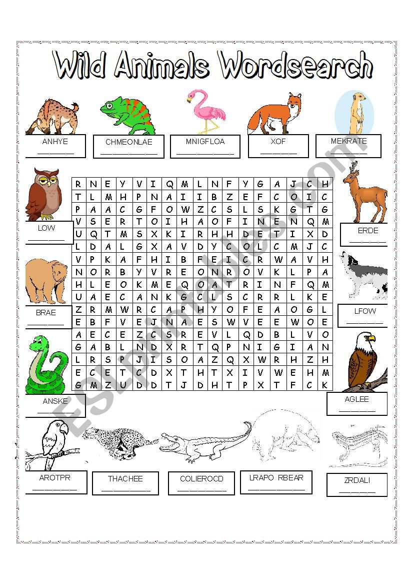 WILD ANIMALS WORDSEARCH worksheet