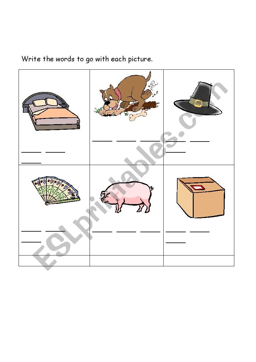worksheet worksheet