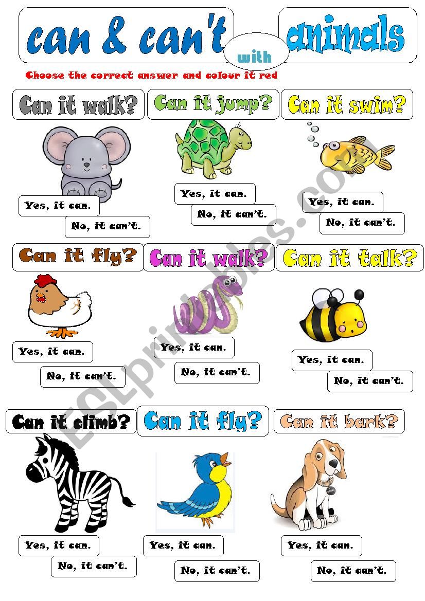 CAN-CANT WITH ANIMALS worksheet