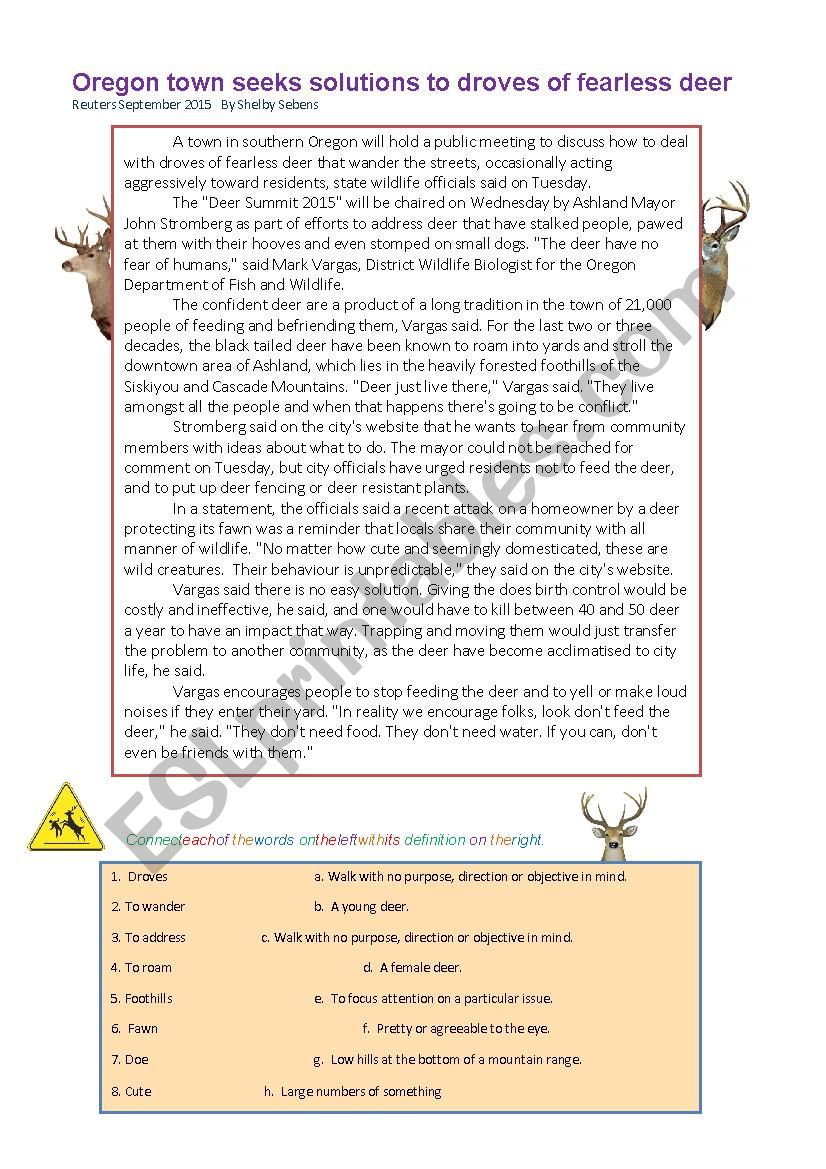 Deer Problem Debate worksheet