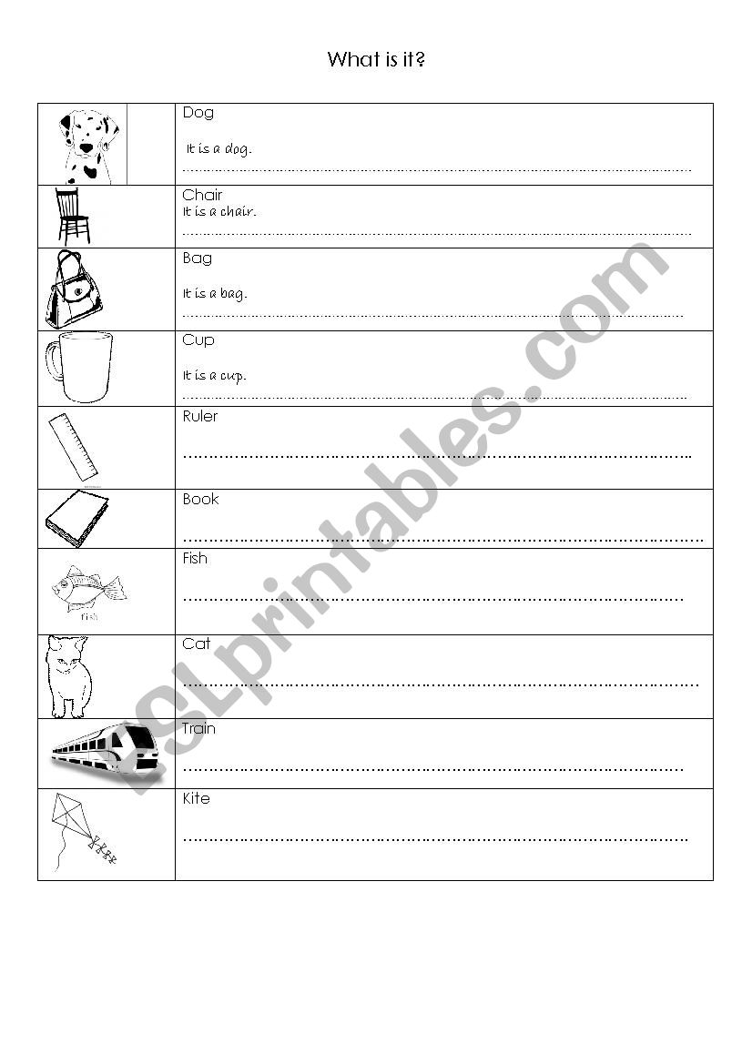 What is it? worksheet