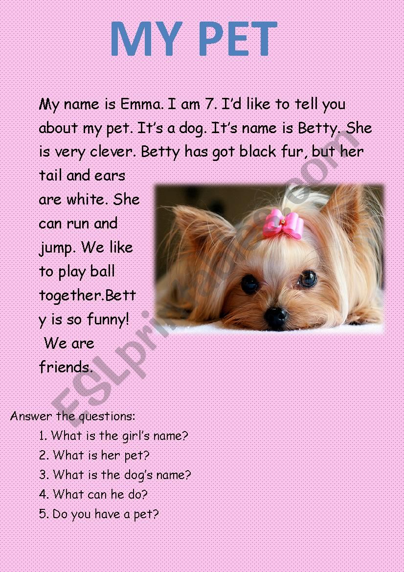 My Pet worksheet