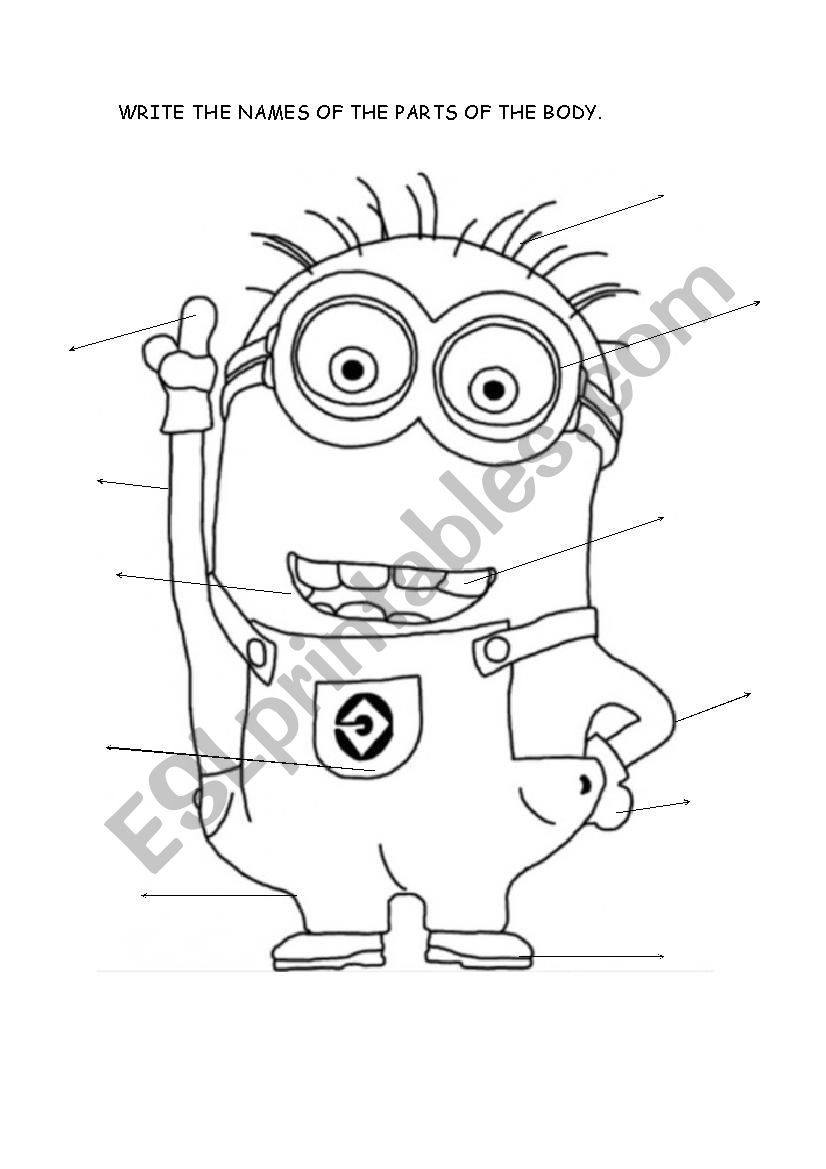 Minions parts of the Body worksheet