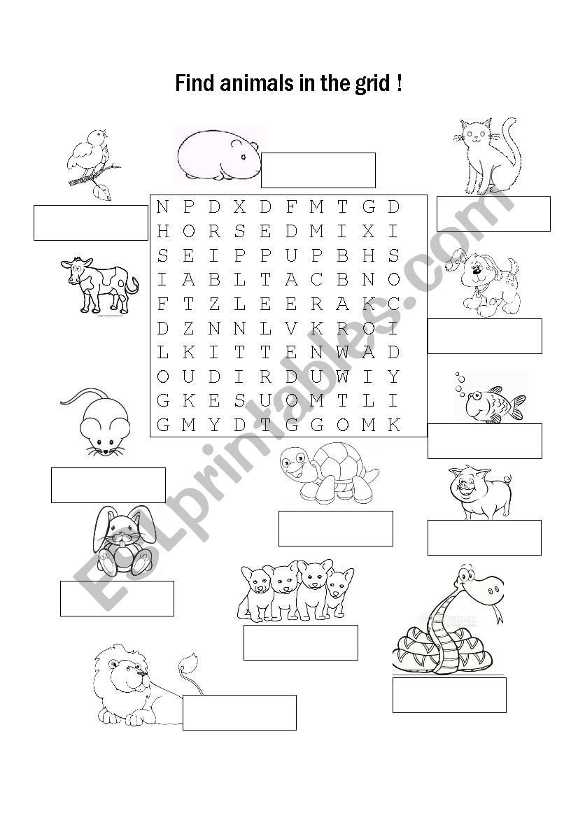 Animal wordsearch worksheet