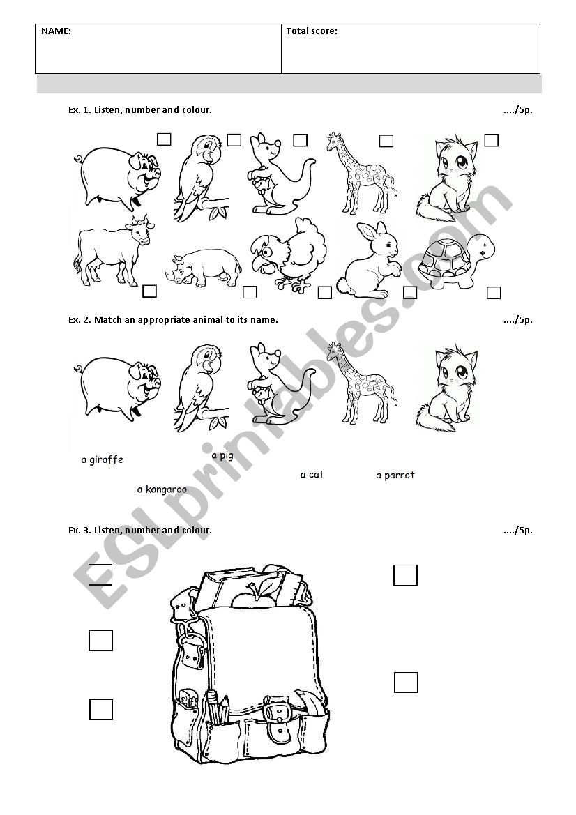 short test for 1st graders primary school, school objects, colours, animals