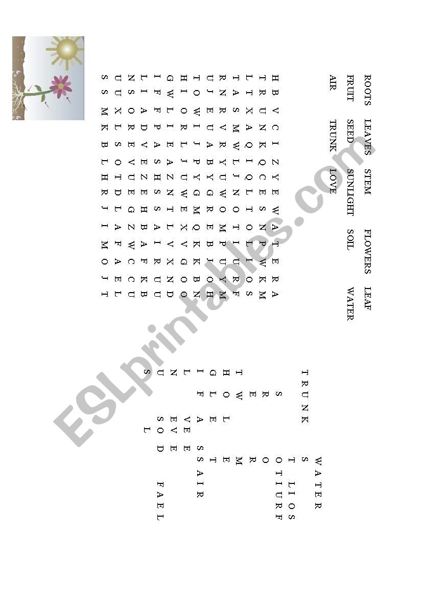 WORD SEARCH: PLANTS AND THEIR NEEDS