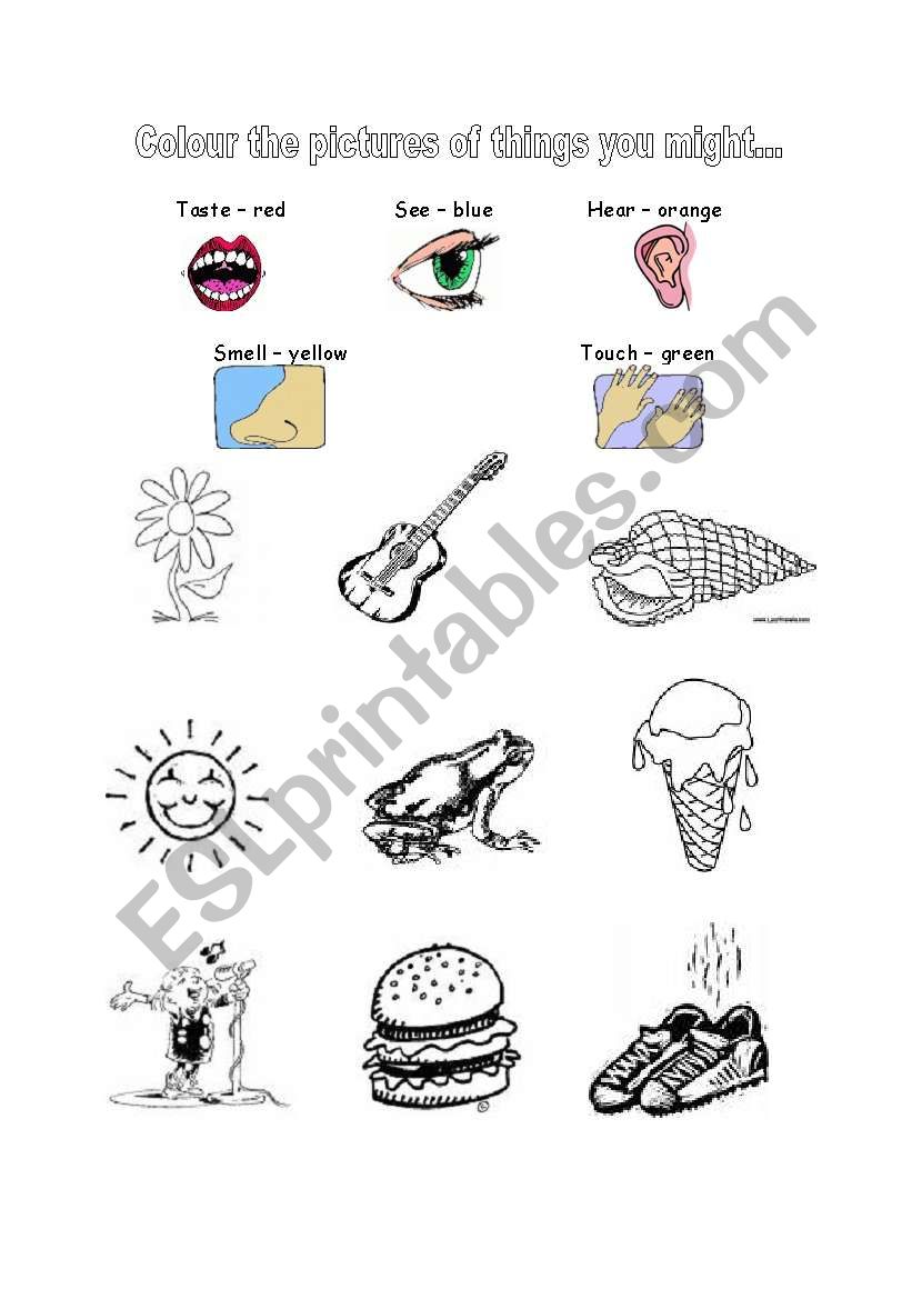 The 5 Senses worksheet