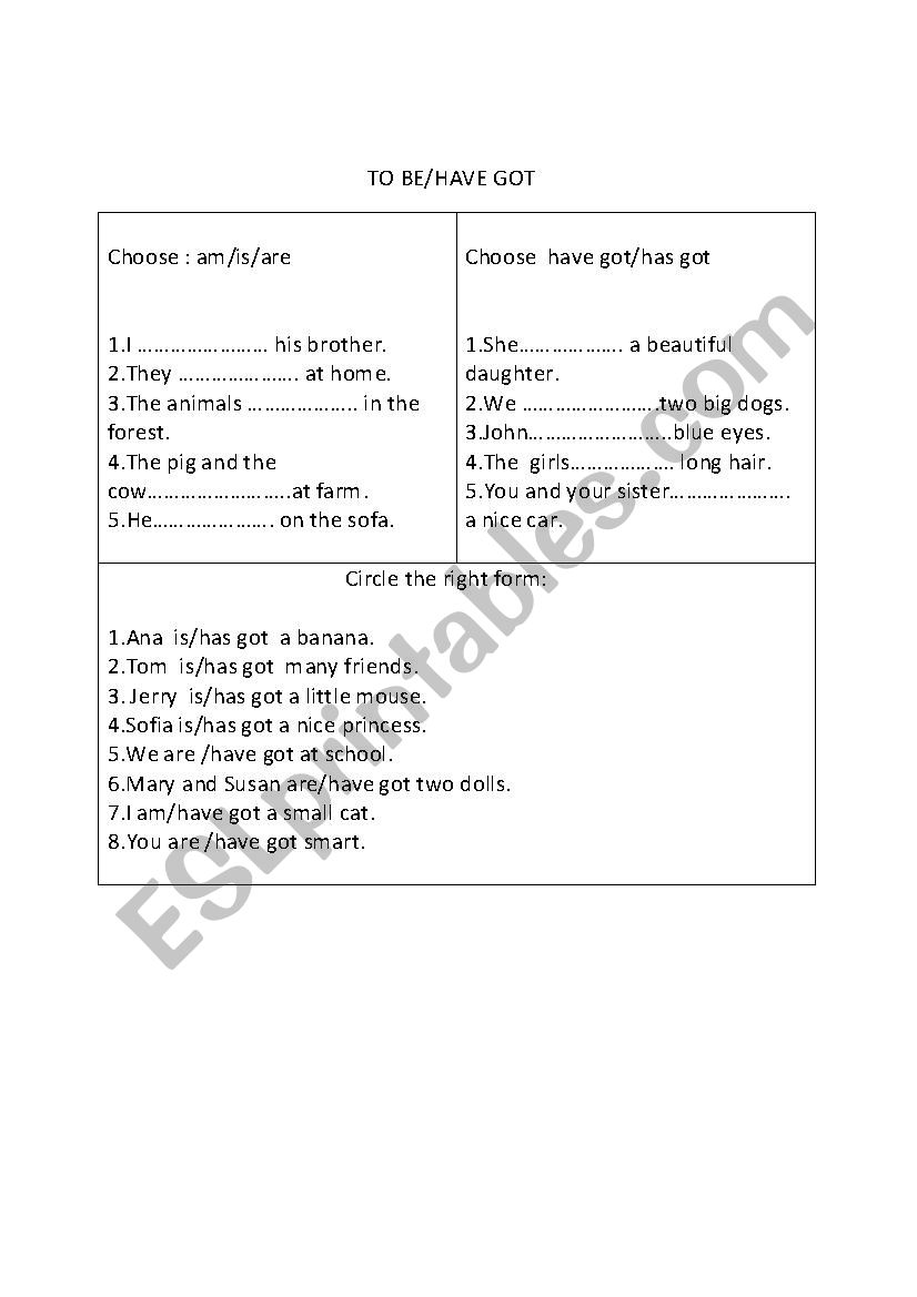 to be/have got exercises worksheet