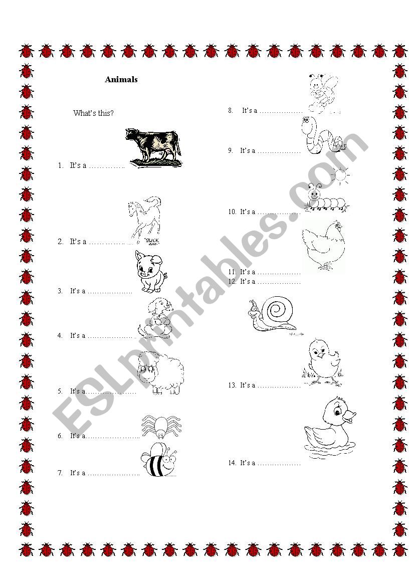 WhatÂ´s this? worksheet
