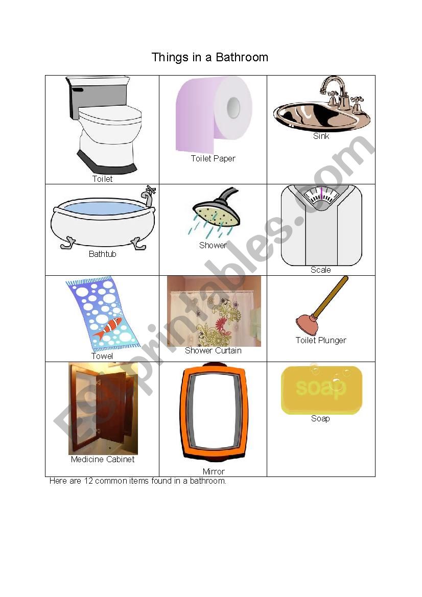Bathroom Pictionary worksheet