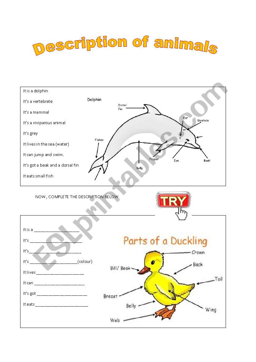 Description of animals worksheet