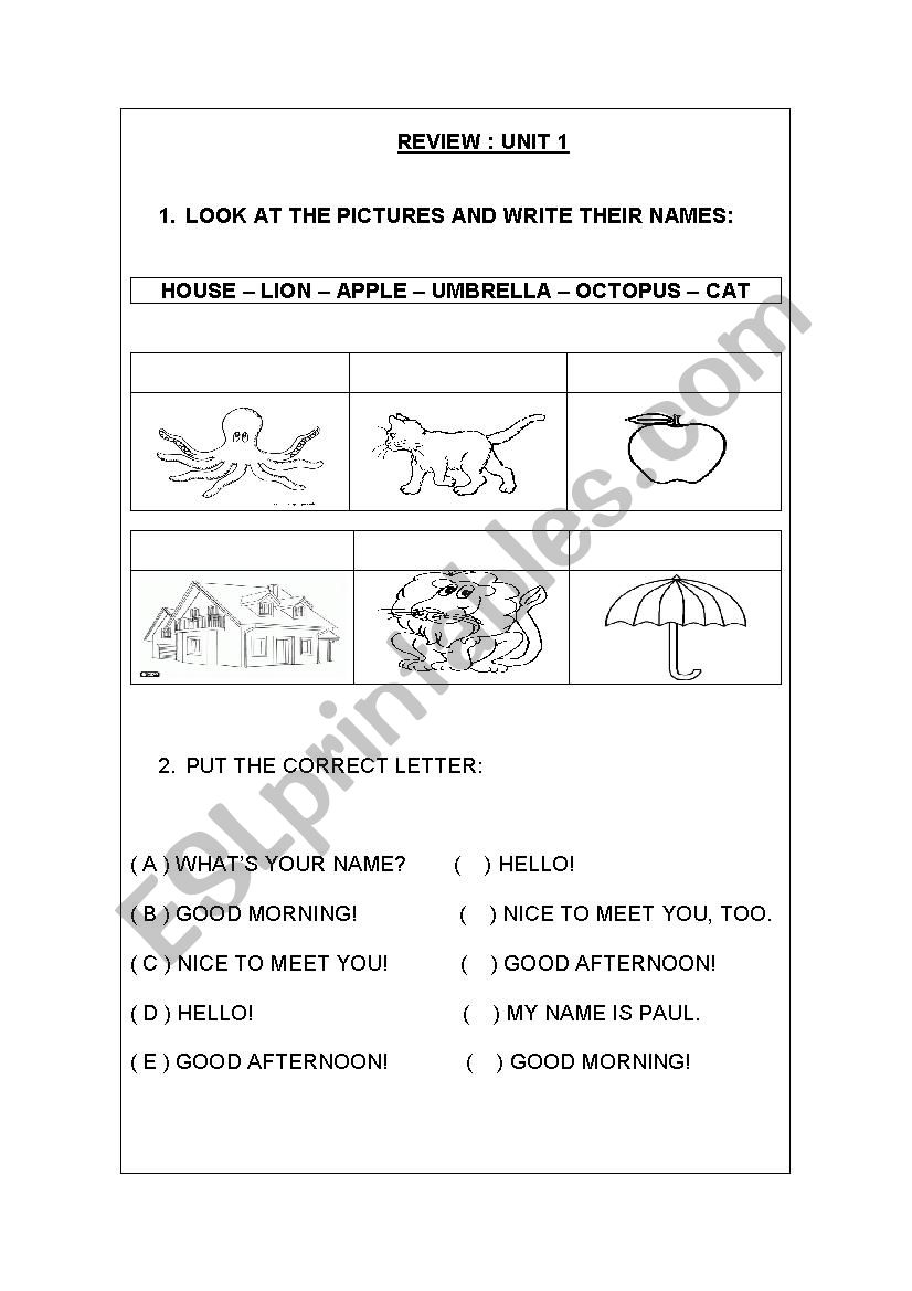 Animals, colors and alphabet worksheet