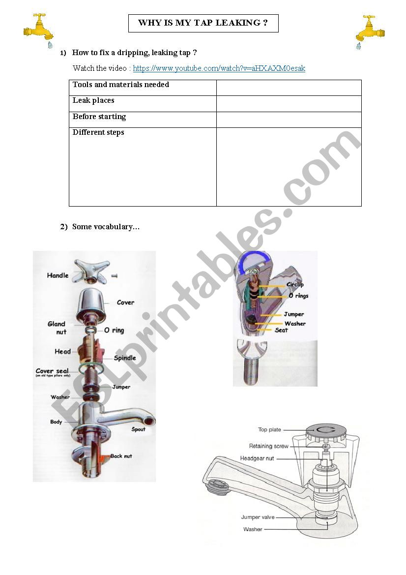 Why is my tap leaking? worksheet Why is my tap leaking? worksheet