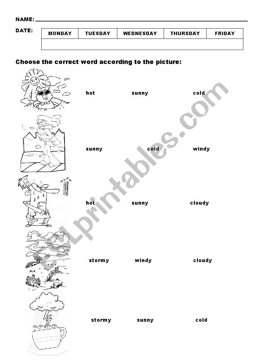 weather worksheet