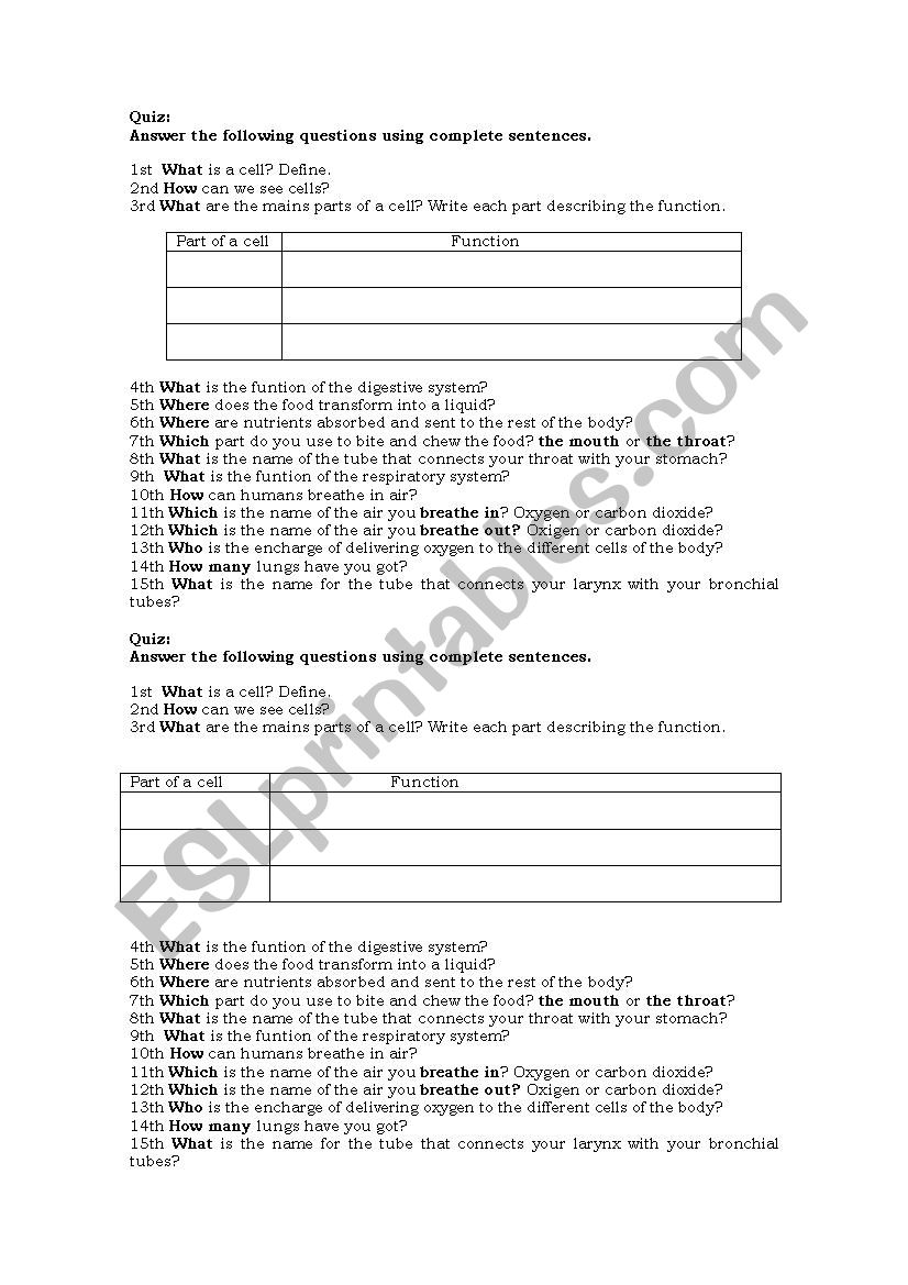 cells, digestive system and respiratory system quiz