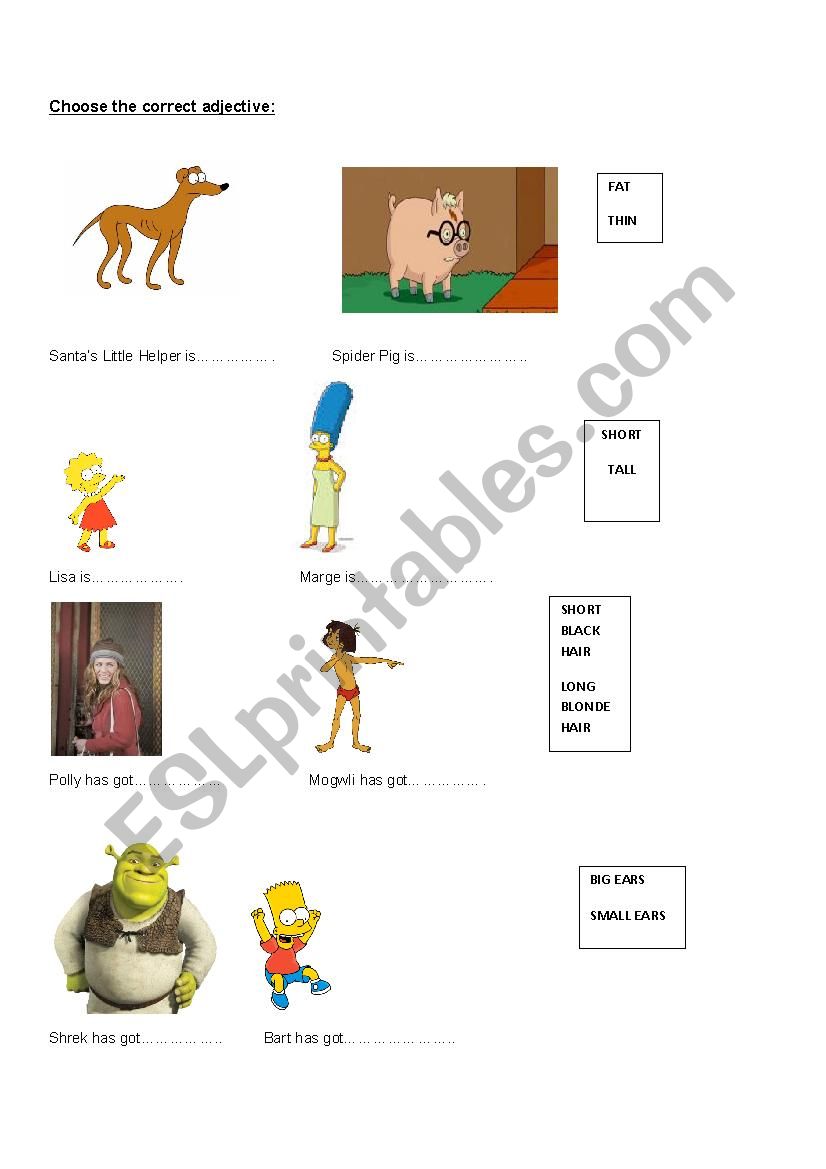 Choose the correct adjective worksheet