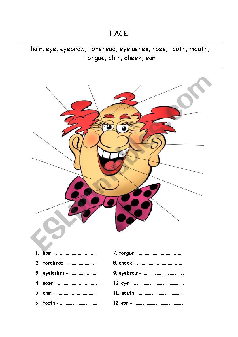 Face worksheet