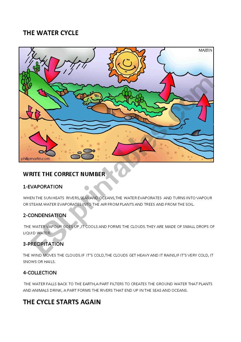 THE WATER CYCLE - ESL worksheet by R20SSELLA Intended For Water Cycle Worksheet Pdf