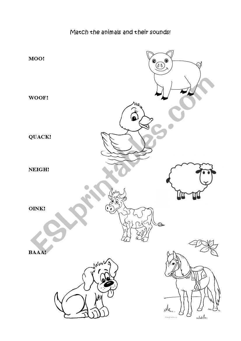 Animals and their sounds worksheet