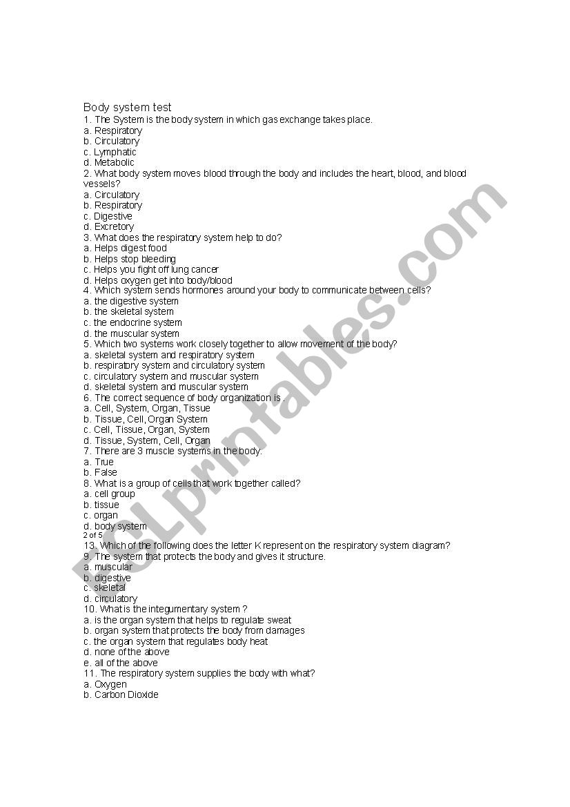 Body System Test worksheet