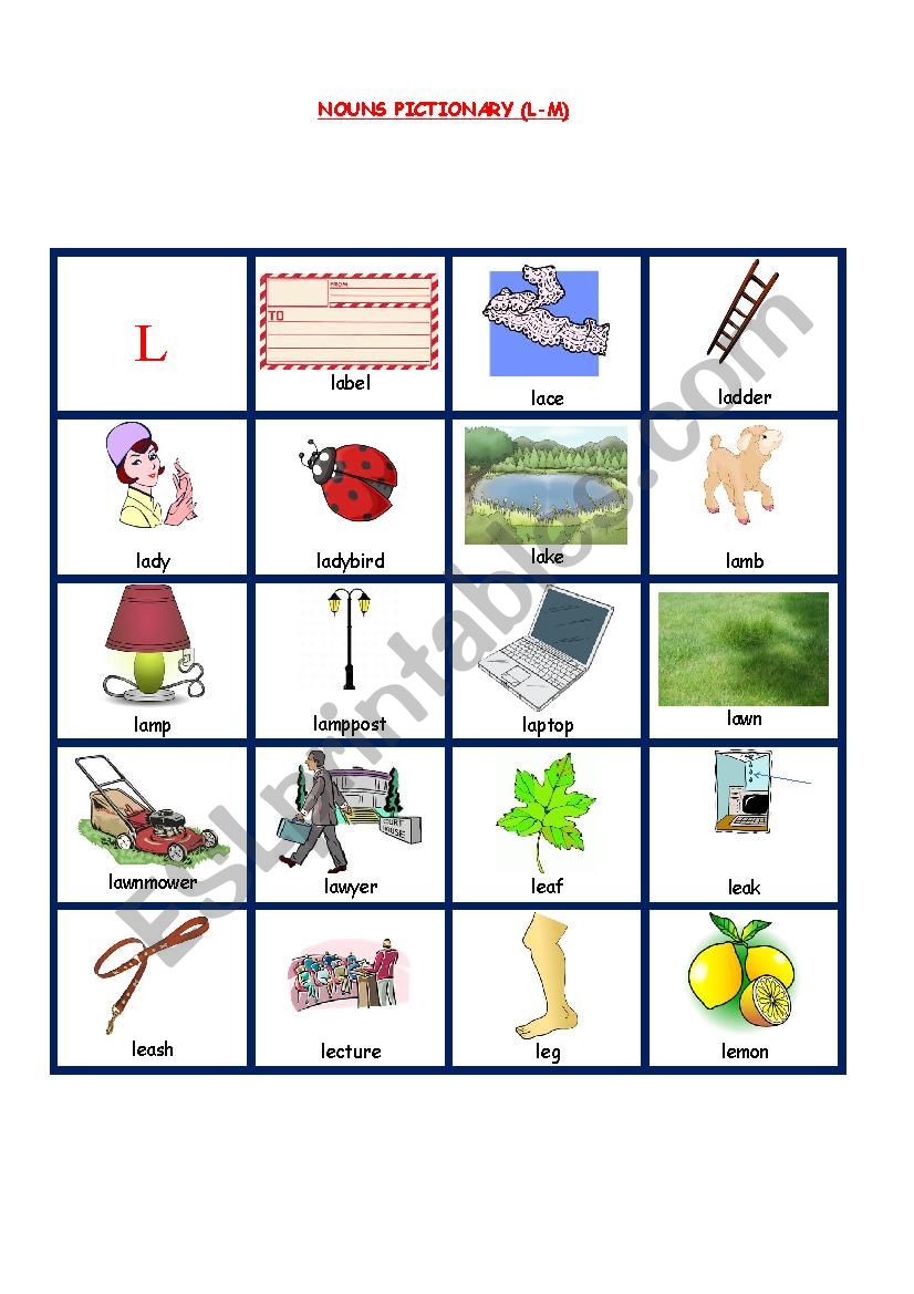 NOUNS PICTIONARY 6 worksheet