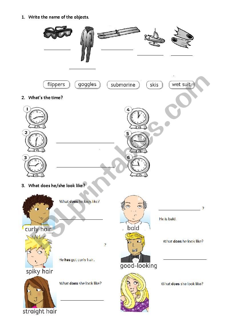 Revision Handouts worksheet