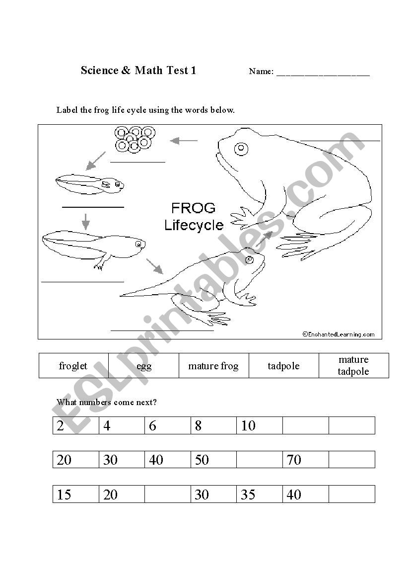 1st grade Science and Math Test