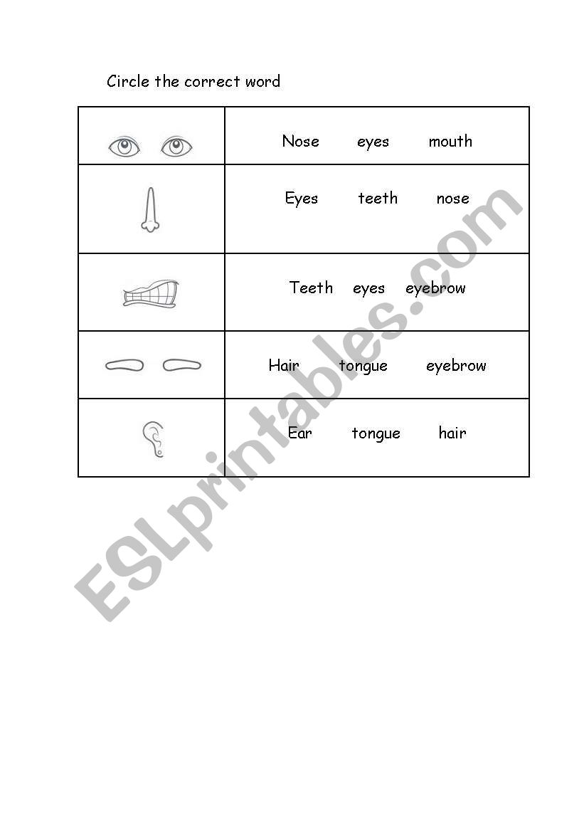 face - activity 3 a worksheet