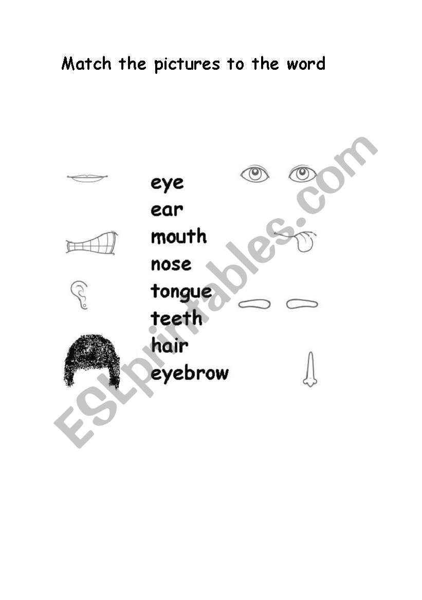 face - activity 4 worksheet