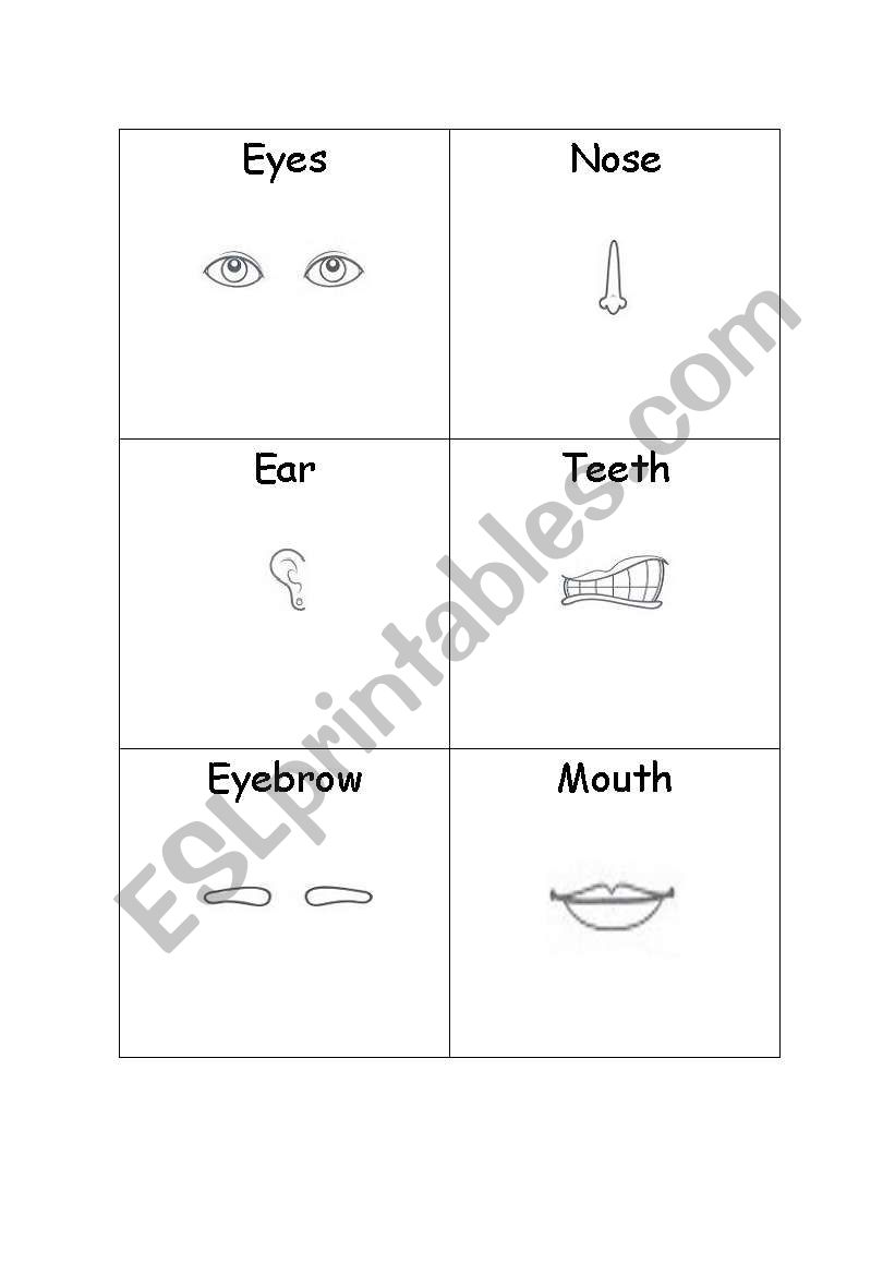 face - activity 2 worksheet