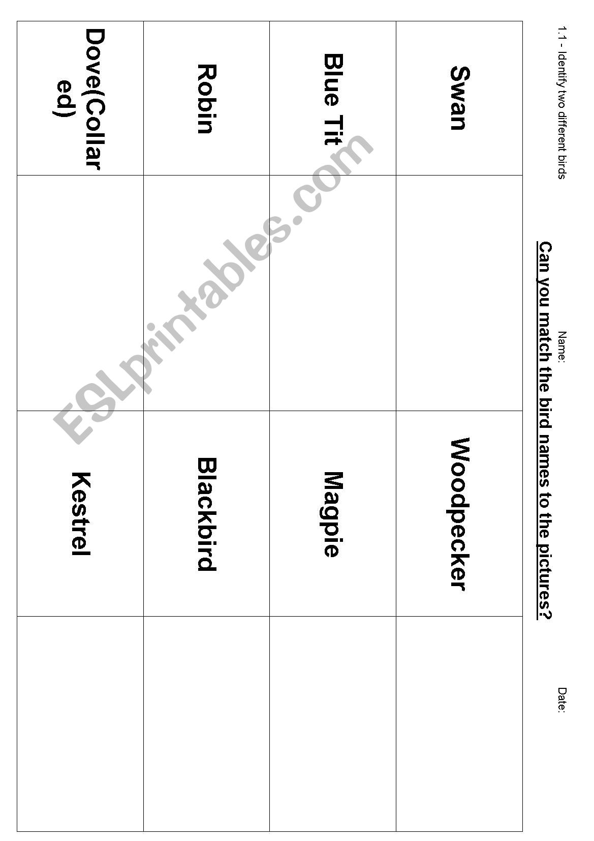 Match the British bird worksheet