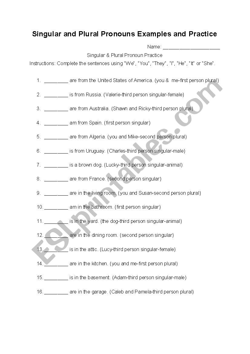 Singular and Plural Pronouns Practice, Examples, and Answer Key