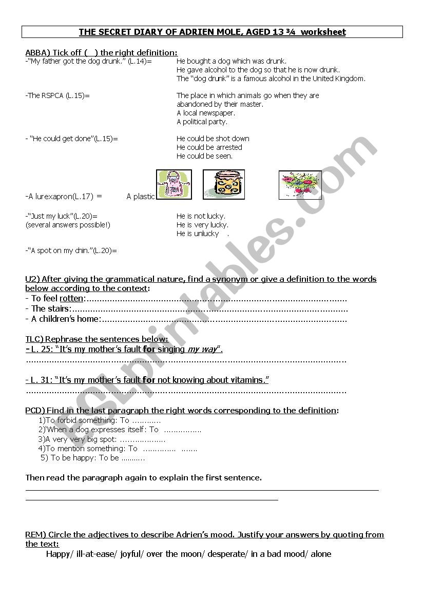 THE SECRET DIARY OF ADRIEN MOLE WORKSHEET