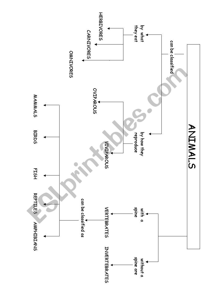 ANIMALS CLASSIFICATION worksheet