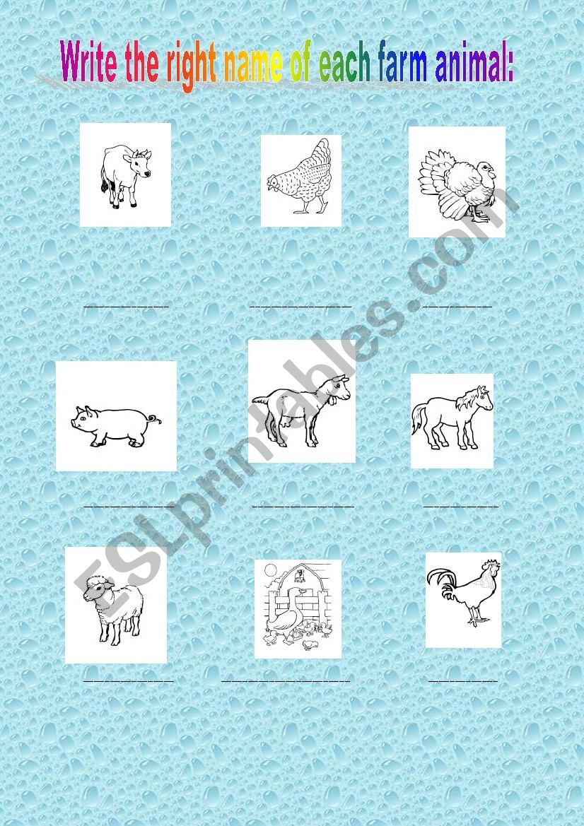 farm animals worksheet