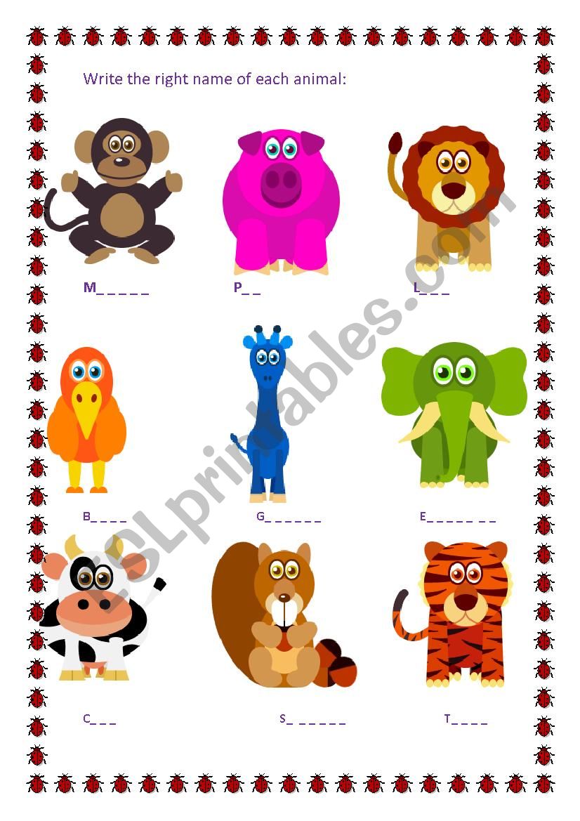 animals worksheet