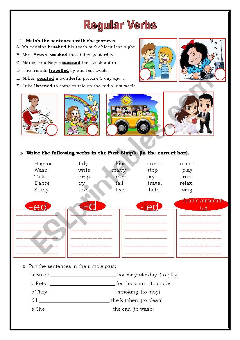 regular verbs esl worksheet by silvia lu