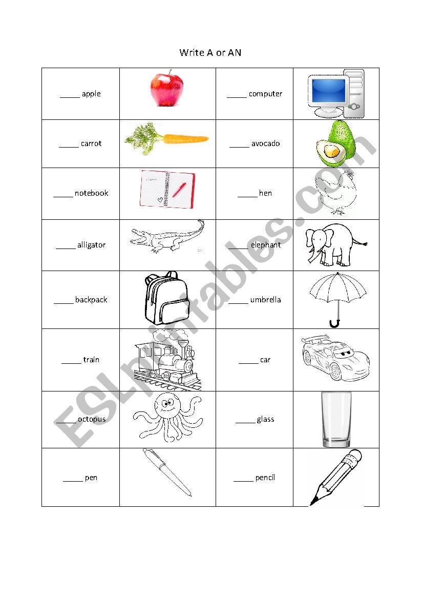 Write A or An worksheet