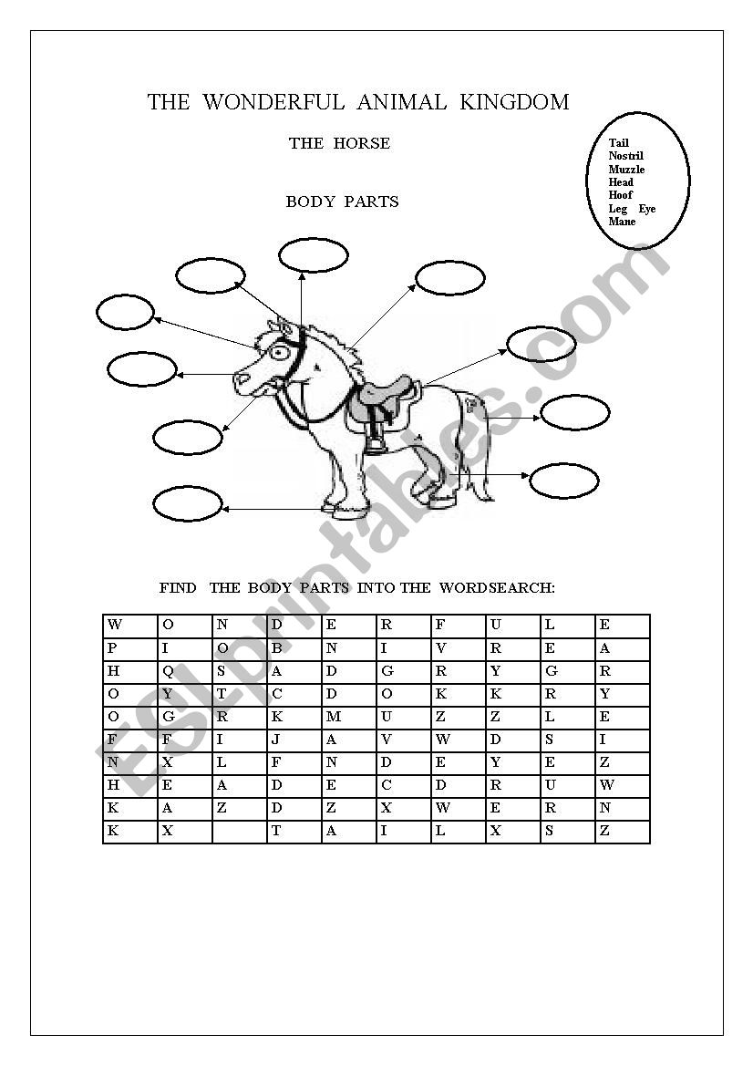 THE WONDERFUL ANIMAL KINGDOM worksheet