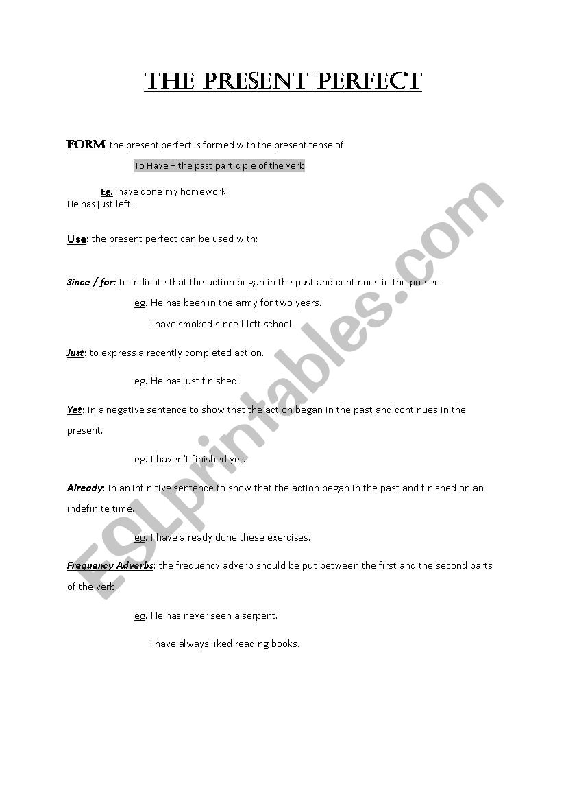 present perfect worksheet worksheet