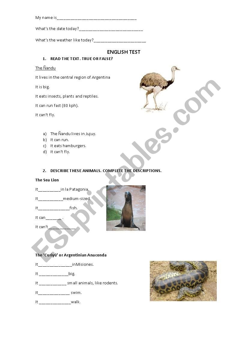 Animals Test worksheet